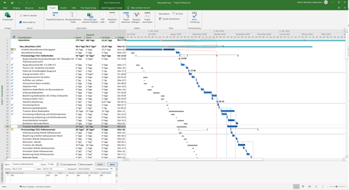 Microsoft Project Standalone
